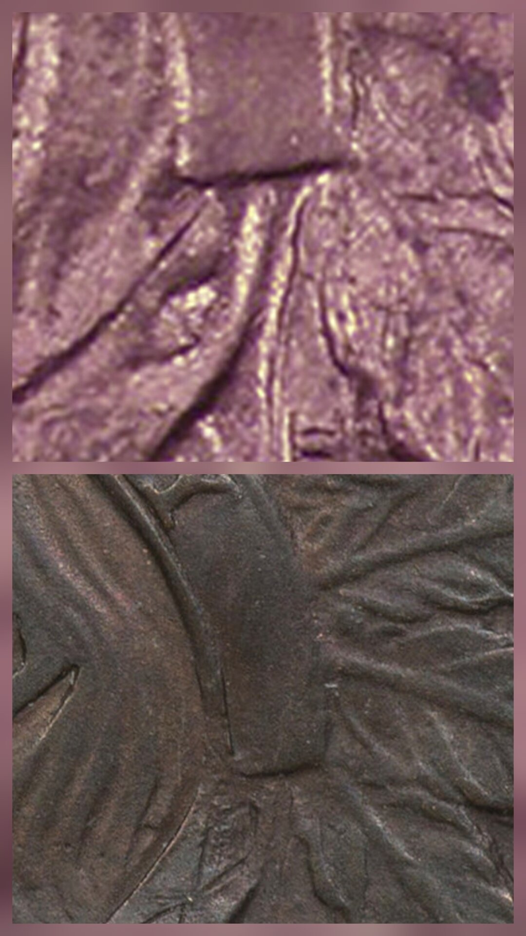 20250825_215543.jpg