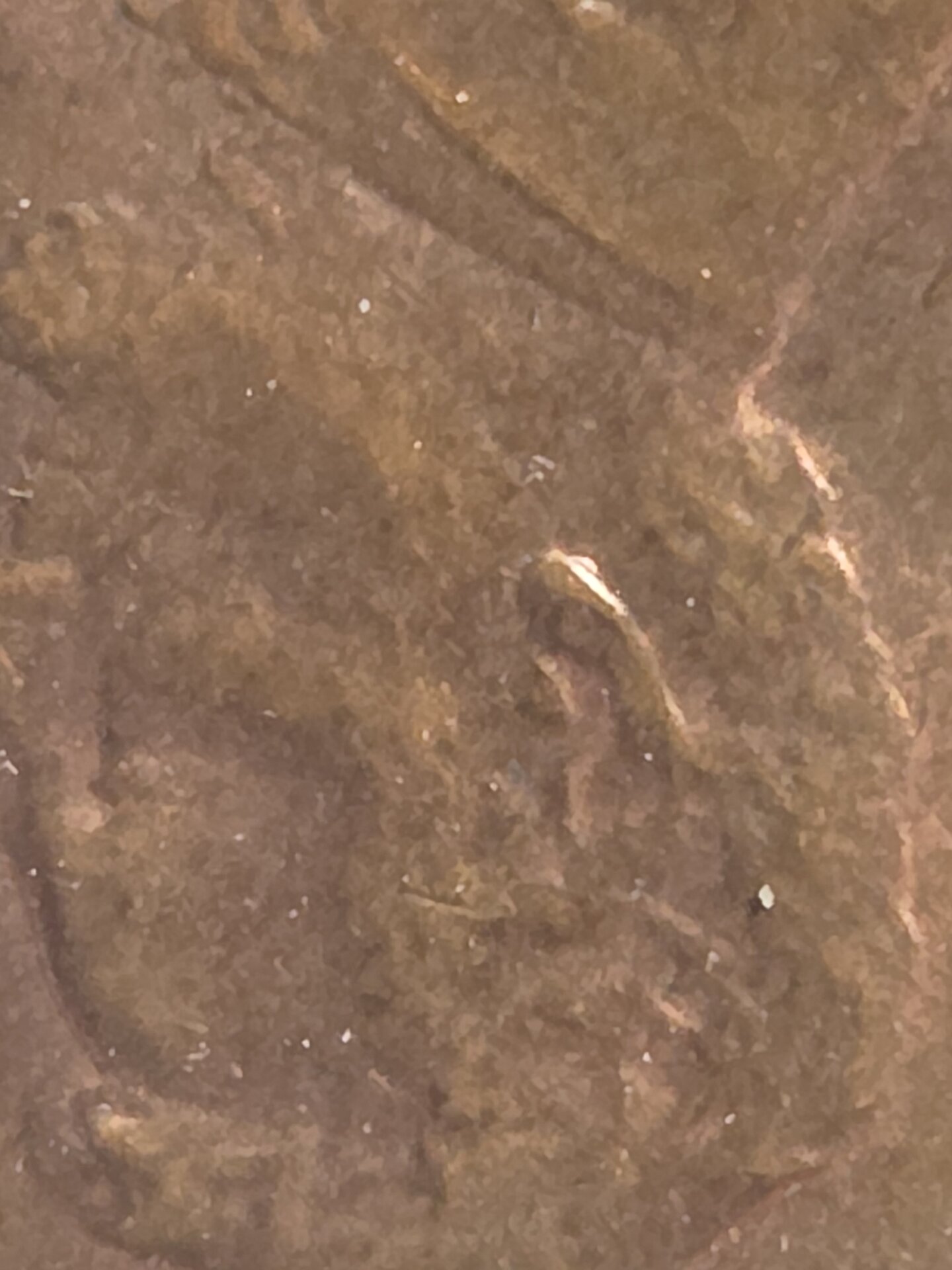 20251001_091301[1].jpg