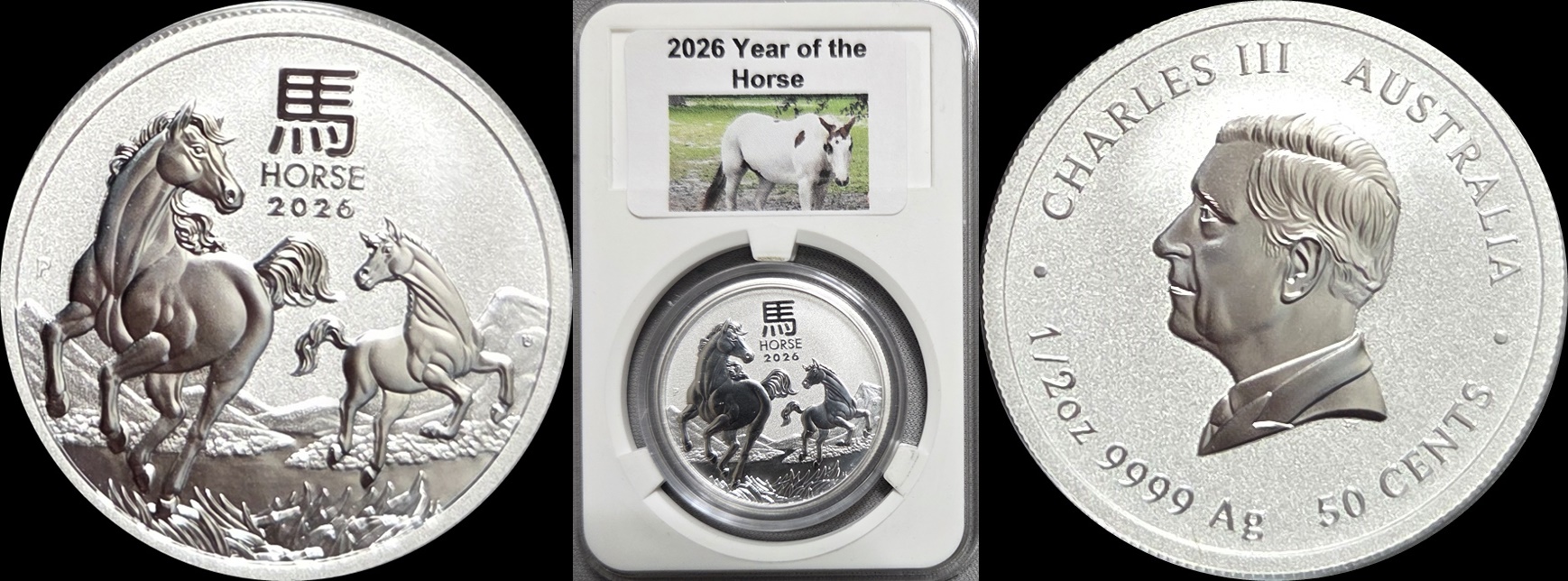 2026 Year of the Horse.jpg