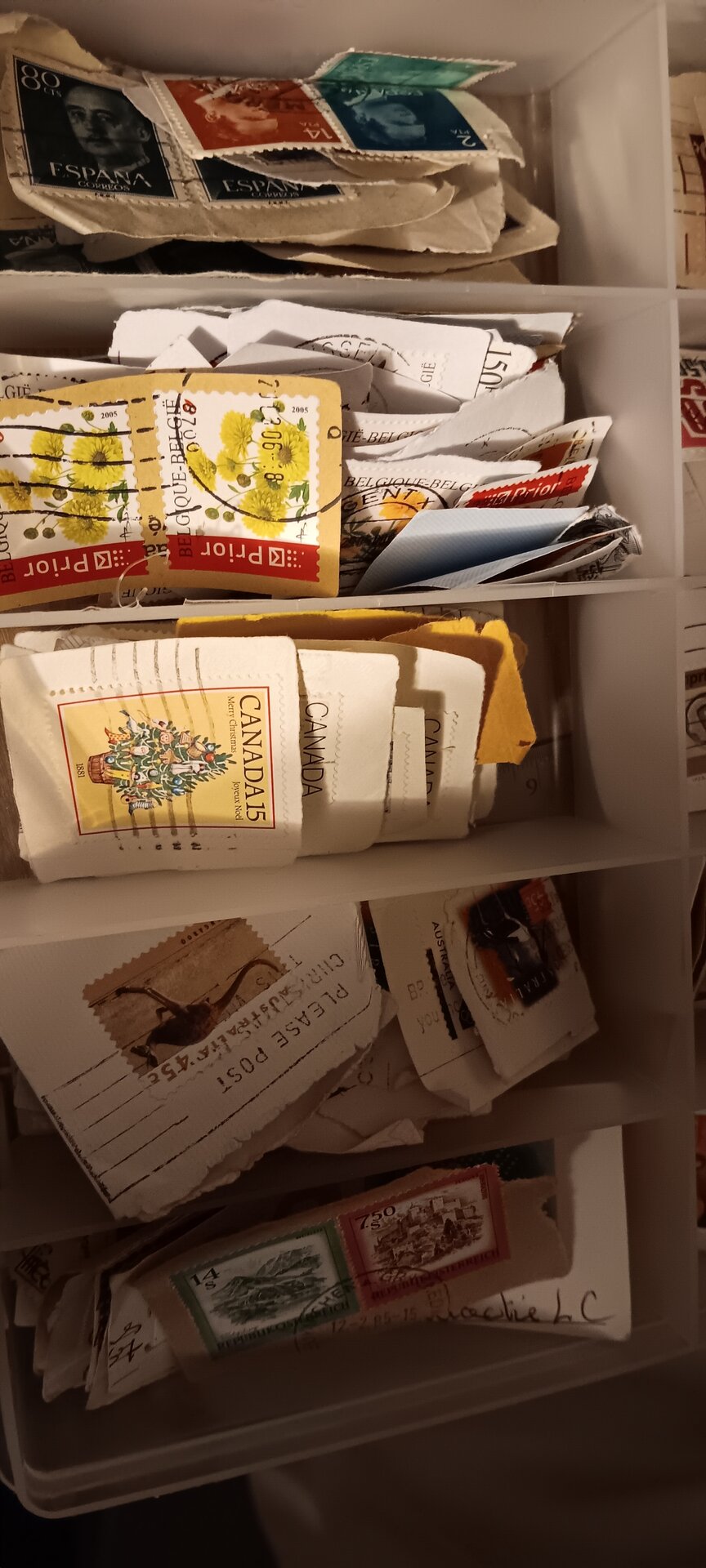 20260524_210651.jpg