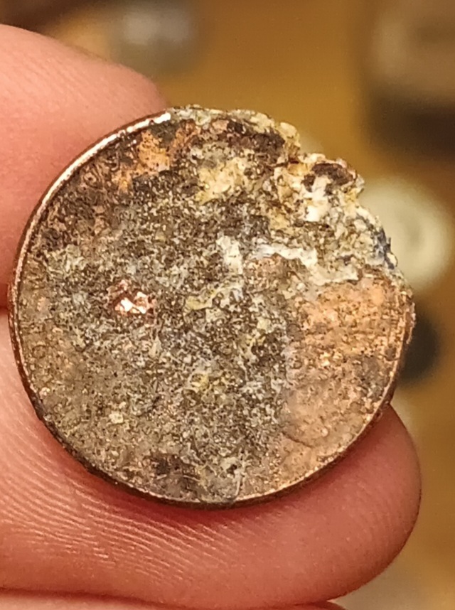 20260527_231350.jpg
