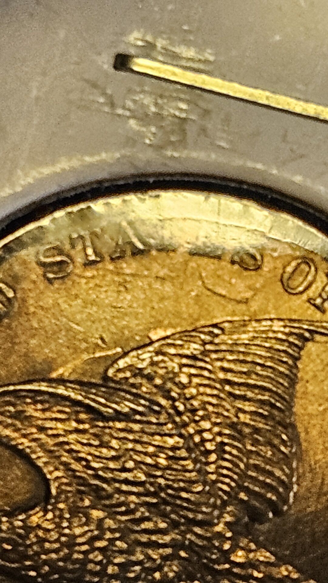 20260606_172141_55321048421_o.jpg