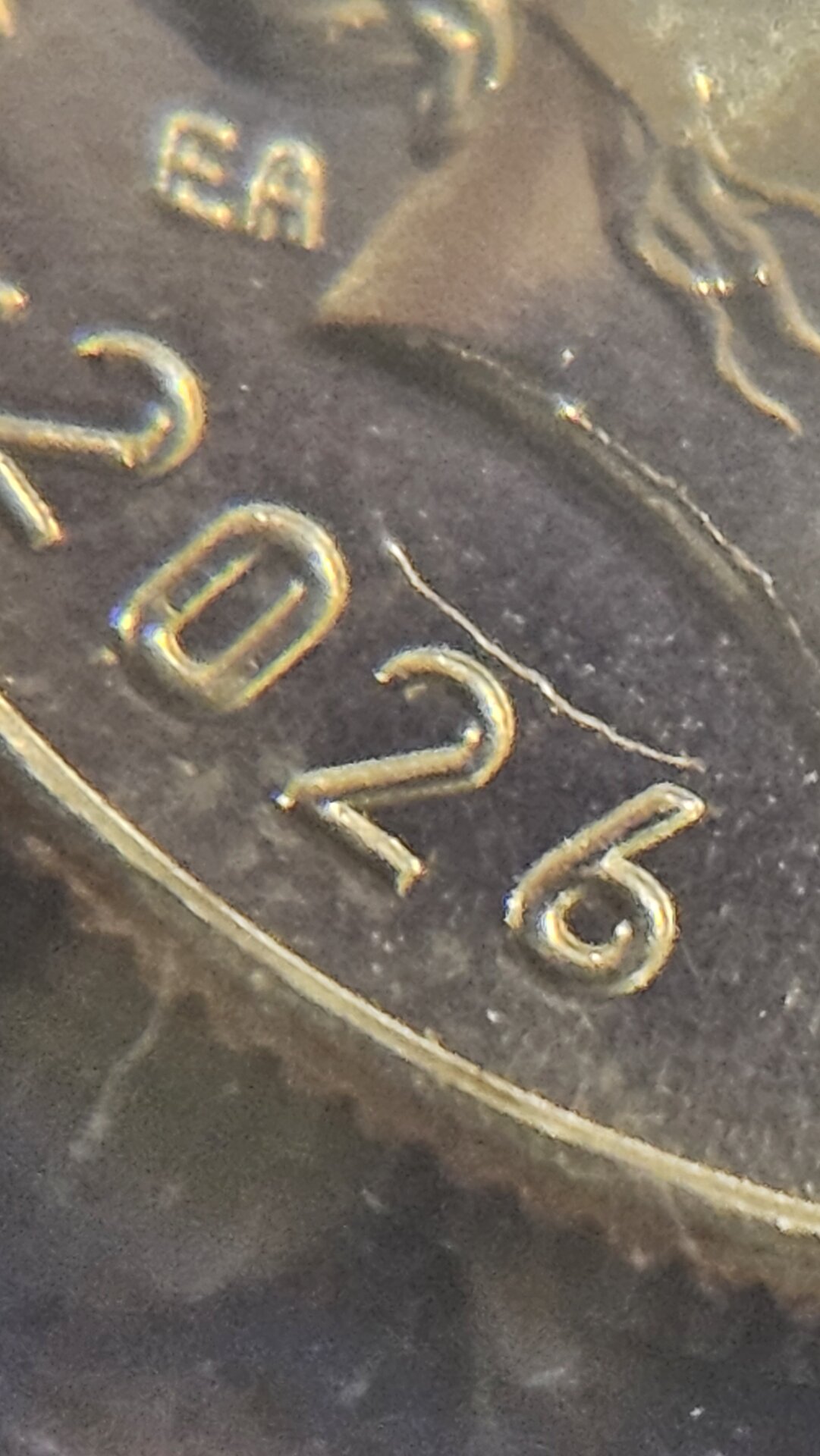 20260620_094724.jpg