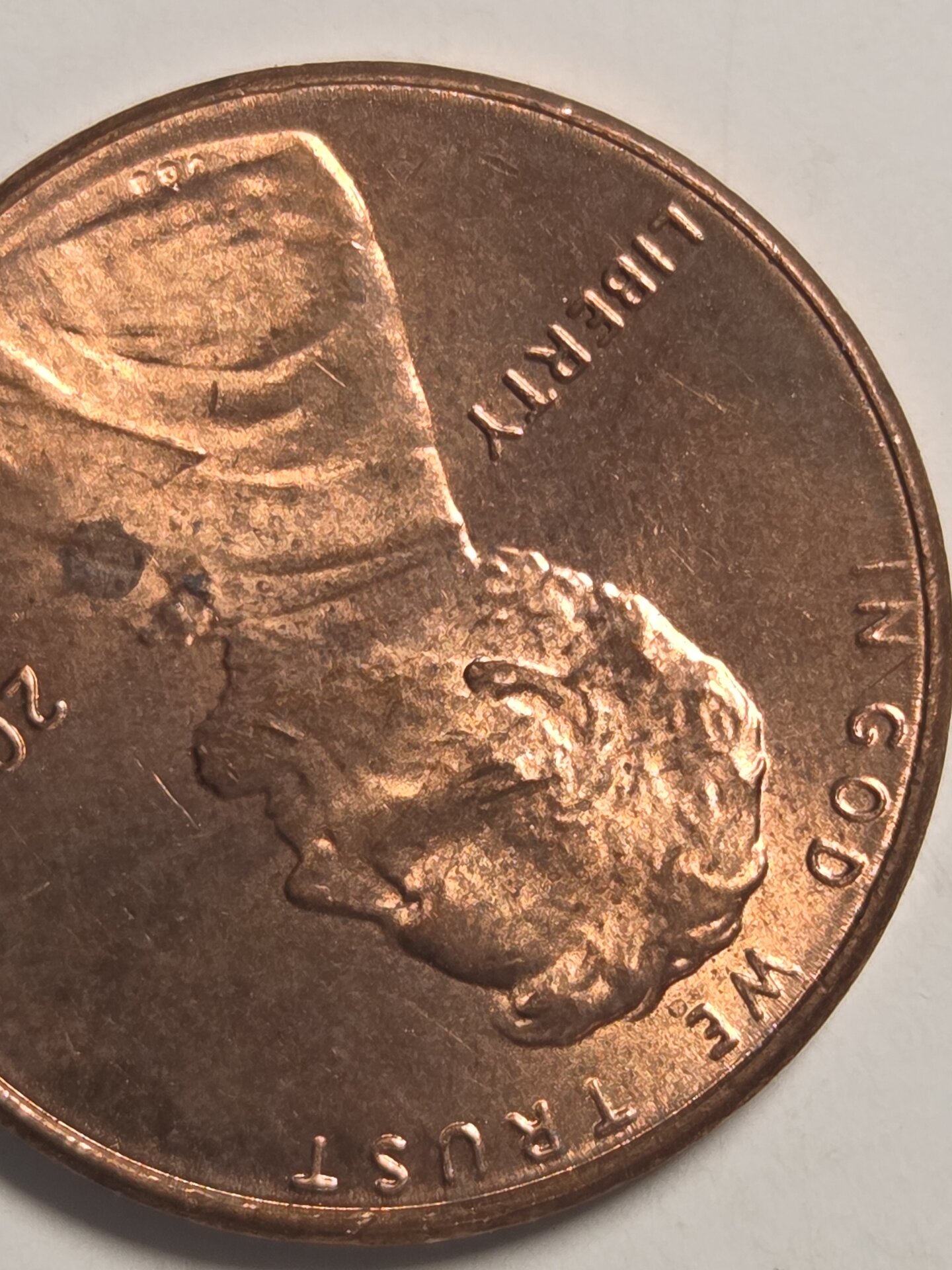 20260812_220319[1].jpg