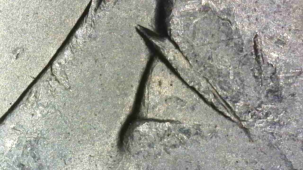 20260912-104415-967.jpg