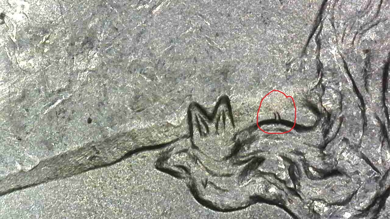 20260912-104740-874.jpg