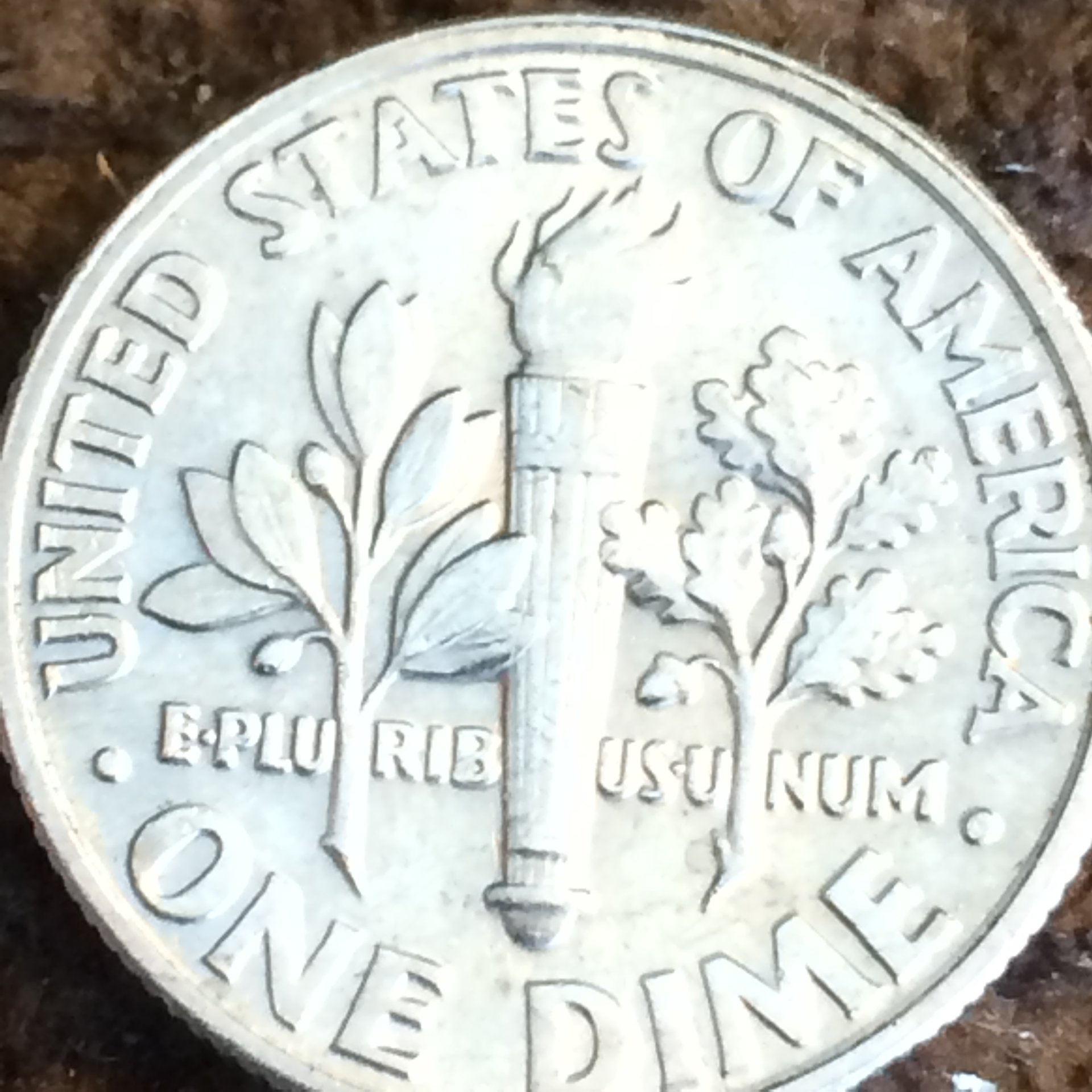 203693FD-AB80-437D-85BD-071E8264028B.jpeg