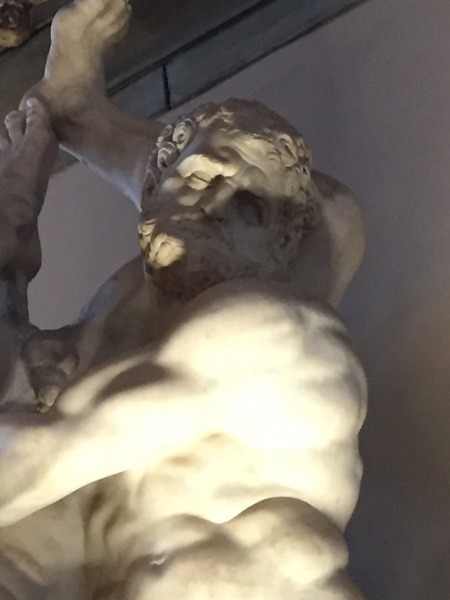 203B4149-F9AB-45FE-8E6E-063D2C5B2660.jpeg