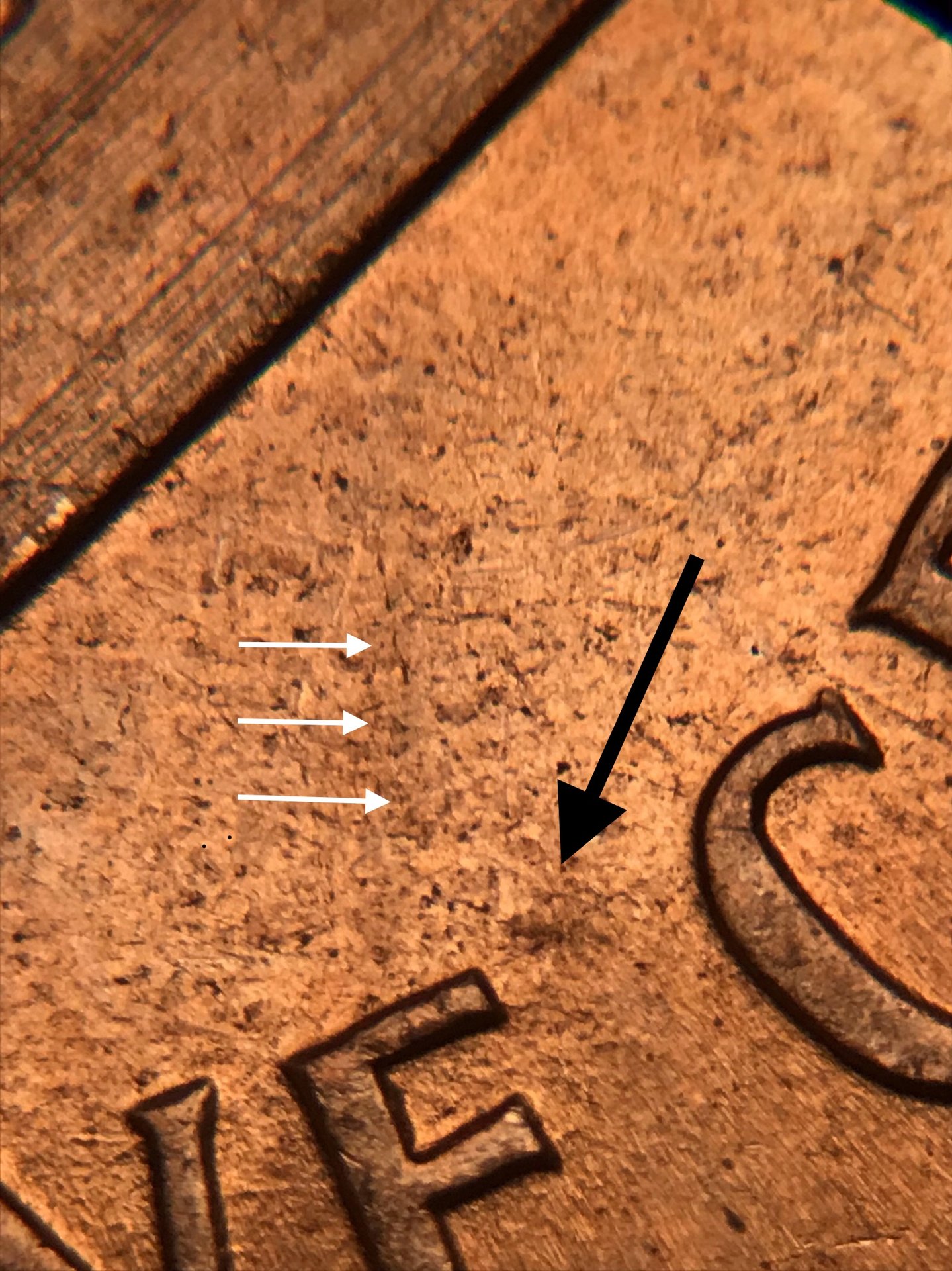 2074CF09-5ADA-4A2F-9D2C-2E5AEA1713EE.jpeg