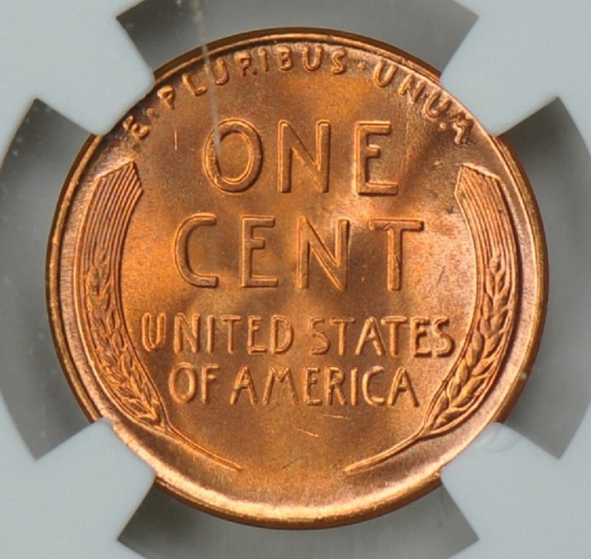 207p.jpg