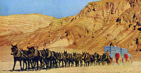 20_mule_team_ng593_jpg_cf.jpg
