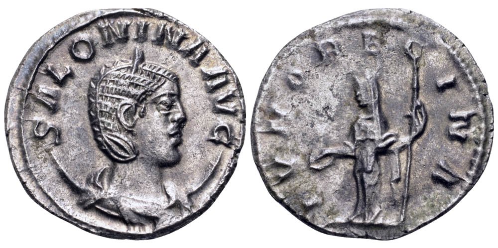 20b-salonina.jpg