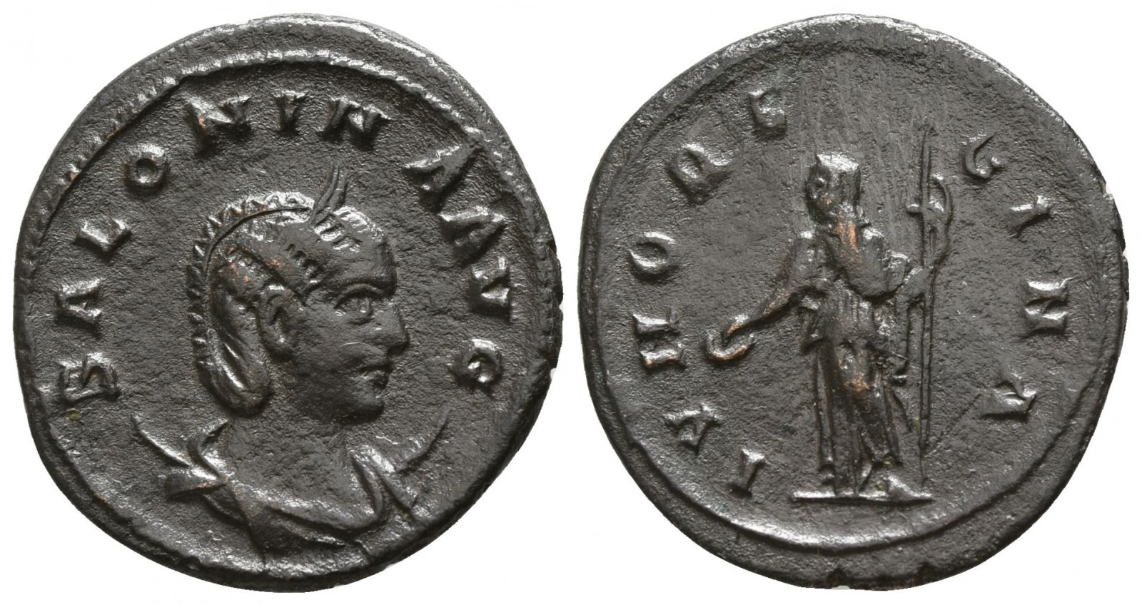 20c-salonina.jpg