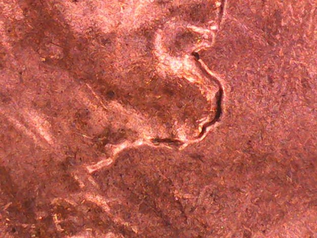 20dpenny5.jpg