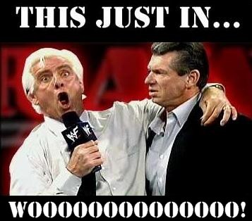 21%20-%20macro%20ric_flair%20vince_mcmahon%20wooo%20wwf.jpg