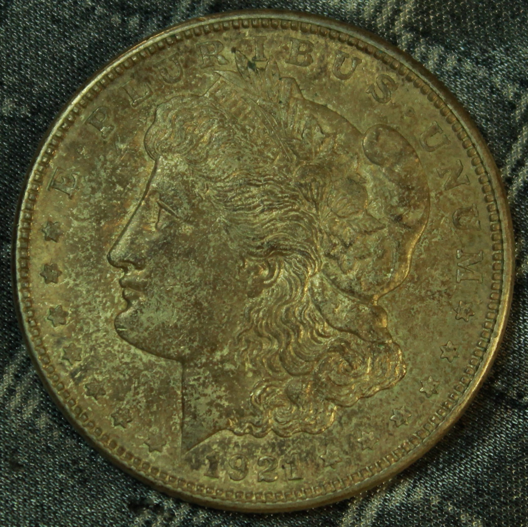 21' D Morgan.jpg