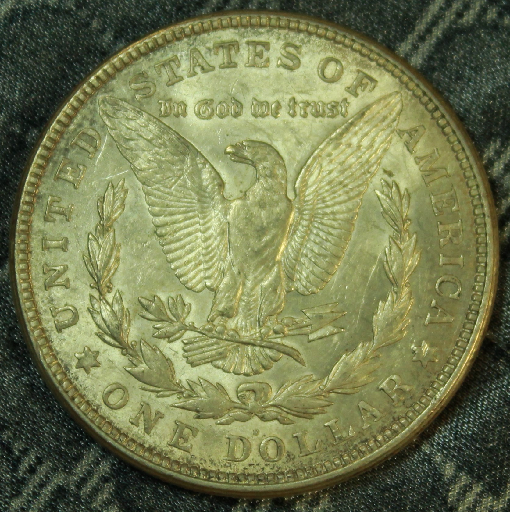21' D Morgan rev..jpg