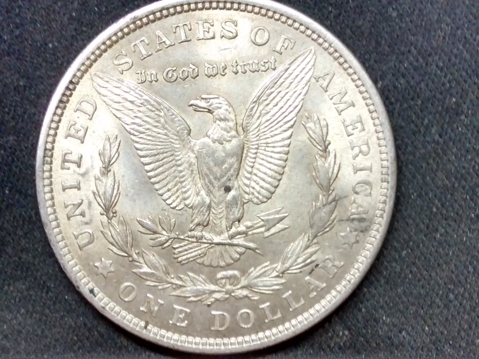 21 morgan rev.jpg