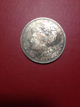 21 morgan toned.jpg