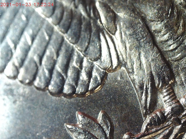 210123172224925.jpg