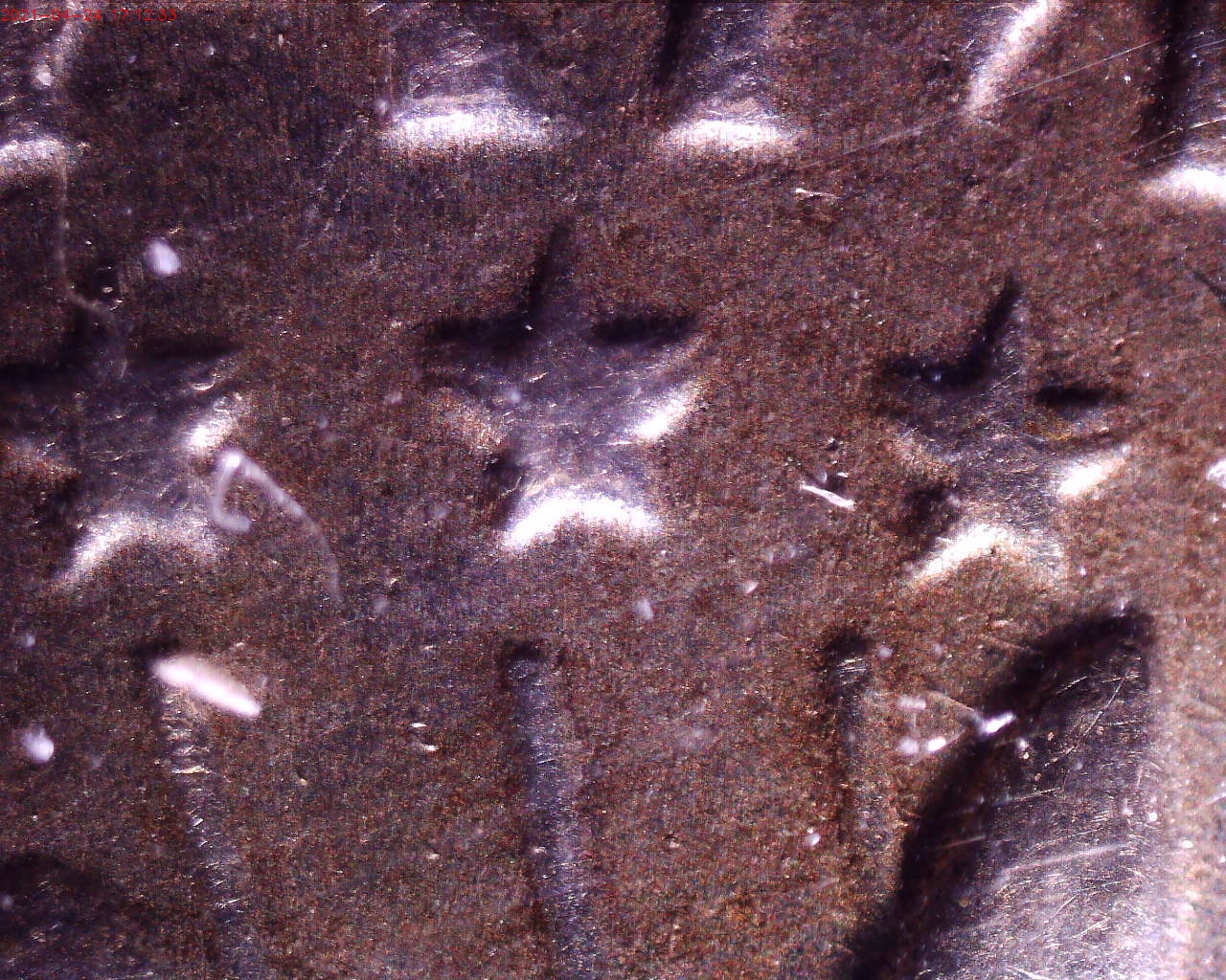 210424171233888.jpg