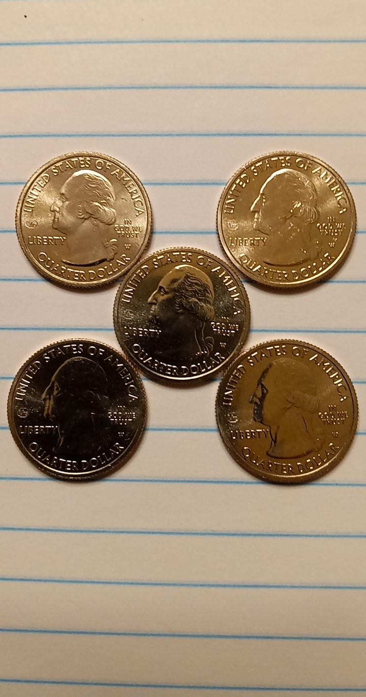 2104565.jpg