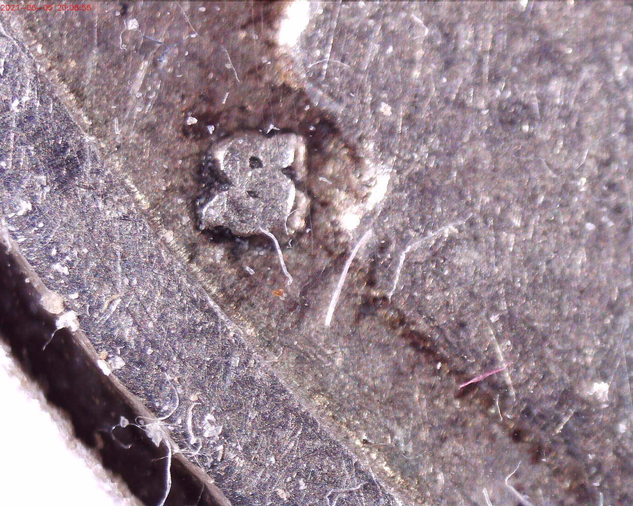 210505200855088.jpg
