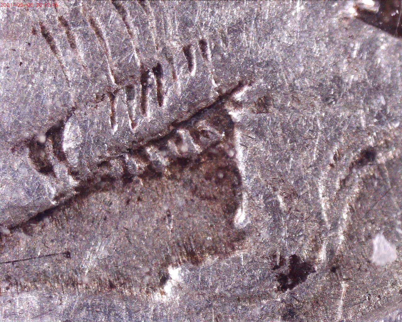 210505201215799.jpg