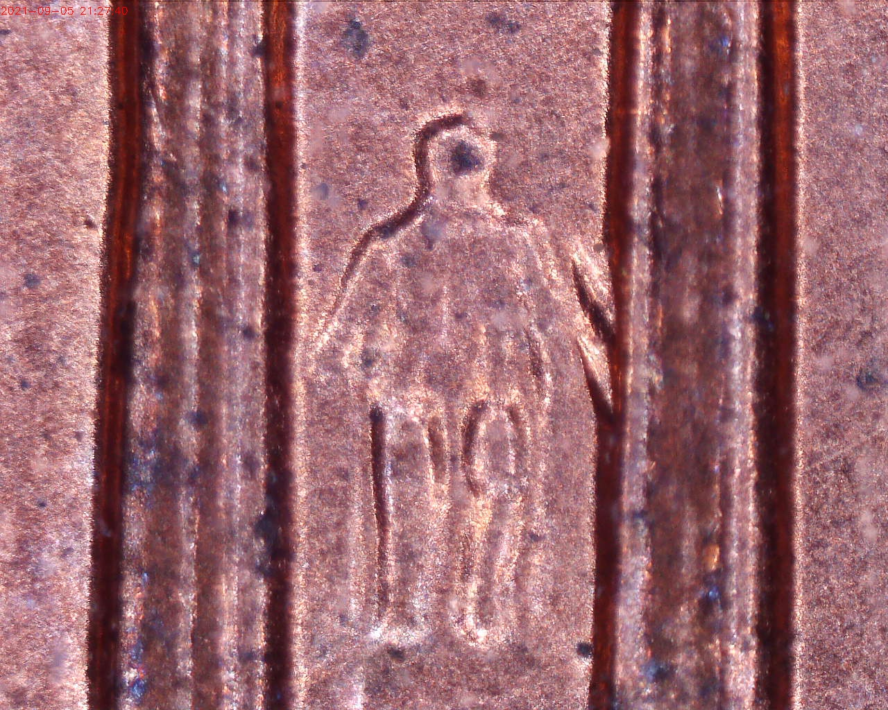 210905212740598.jpg