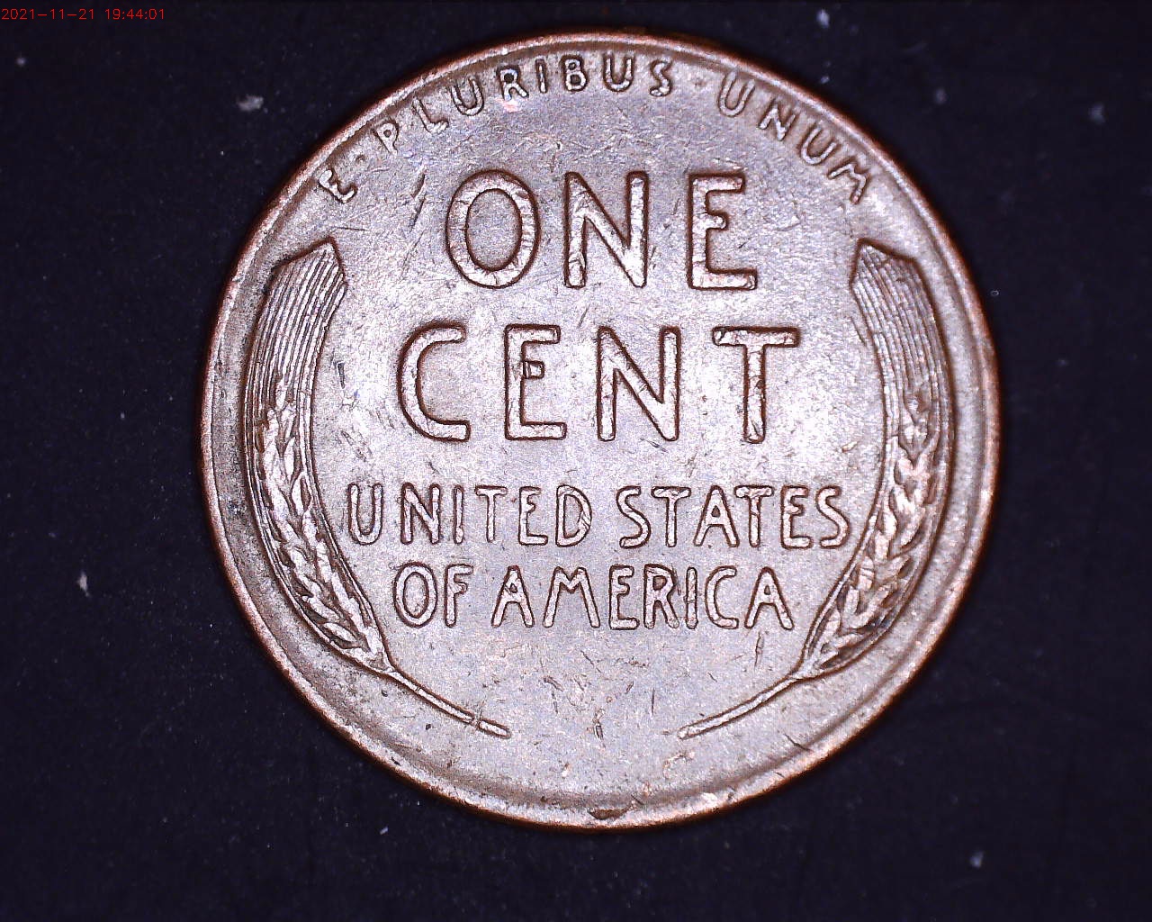 211121194401278.jpg