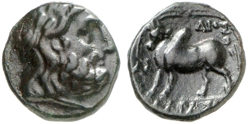 2120412.jpg