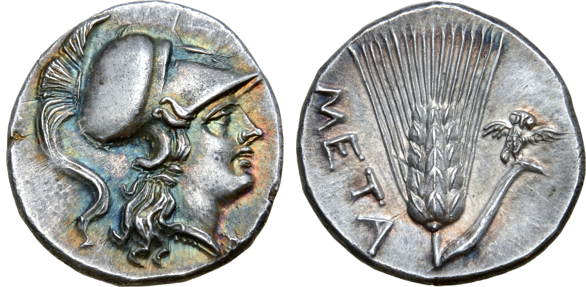215-207 BC Metapontion Punic half Shekel.jpg