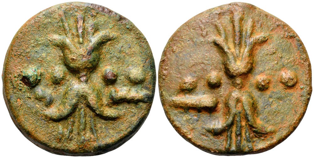 2168446l.jpg