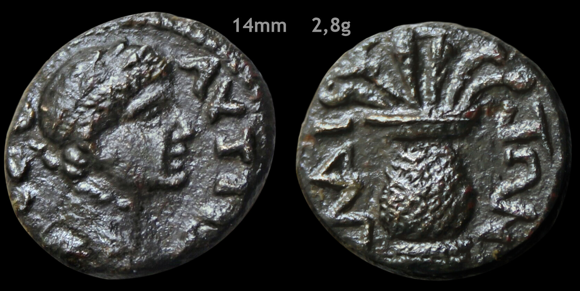 2169-Vase.jpg