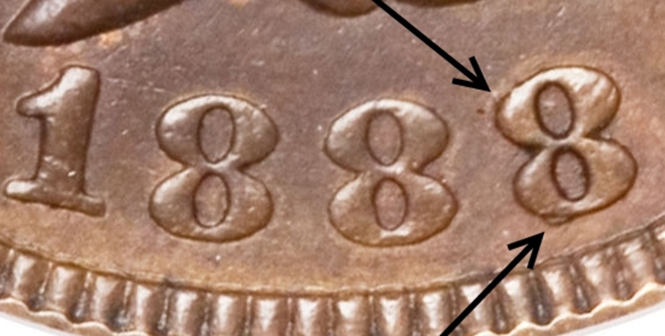 2169_37654907_2200.jpg