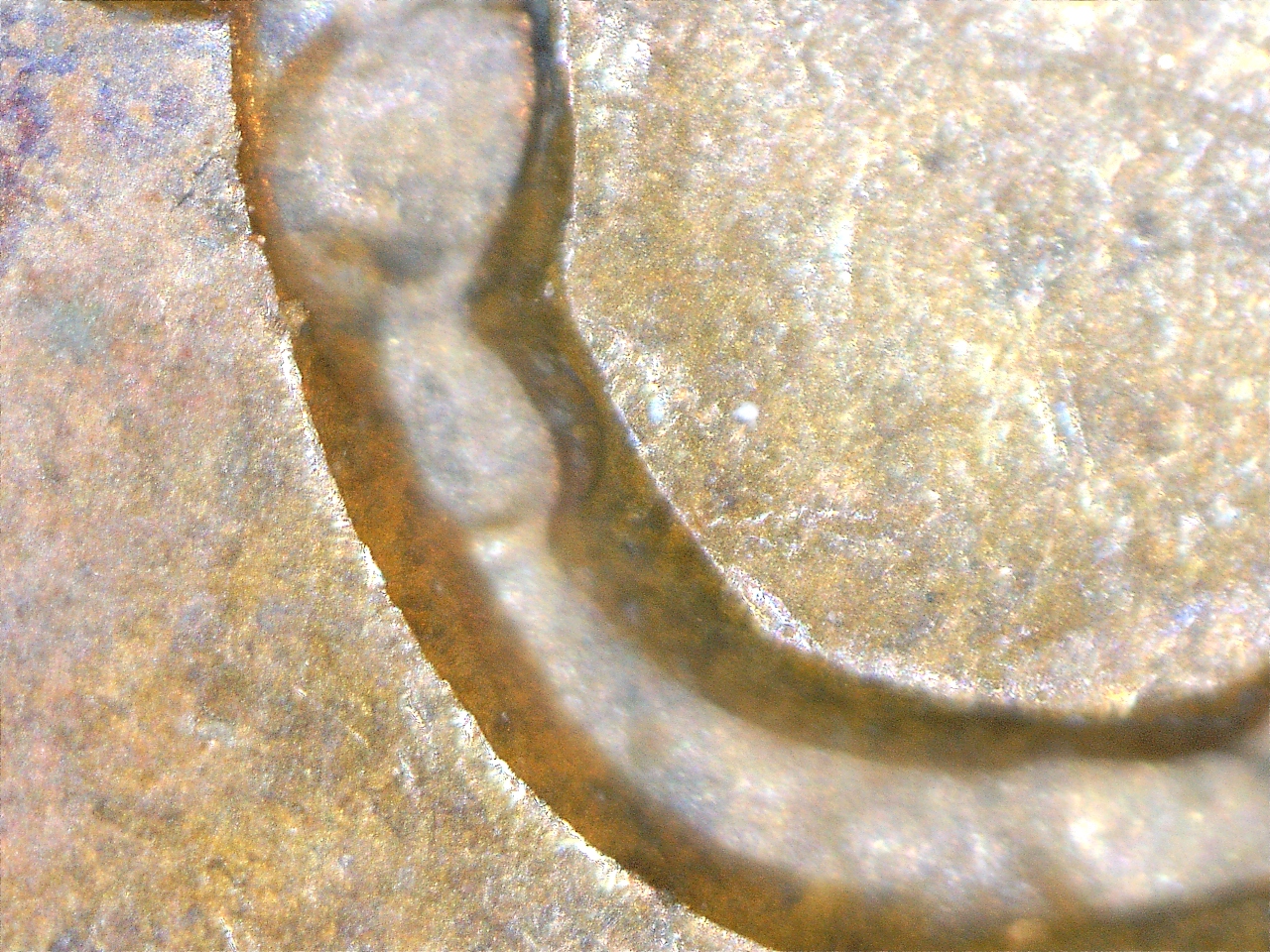 2172516722839.jpg