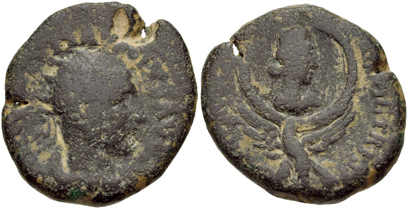 2190374.jpg