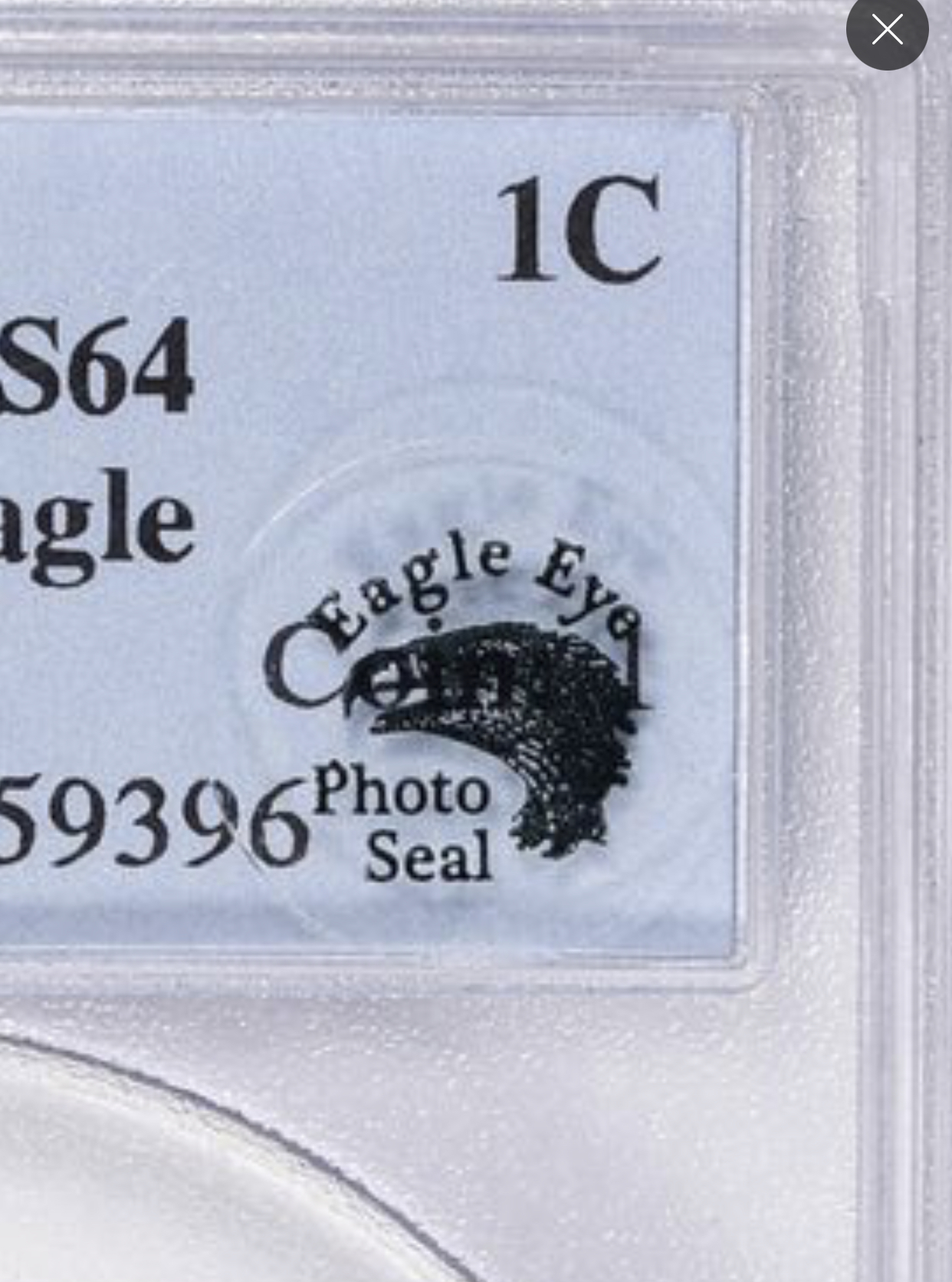 21F75B65-7918-4D6C-8186-DF3DFA4E1905.jpeg