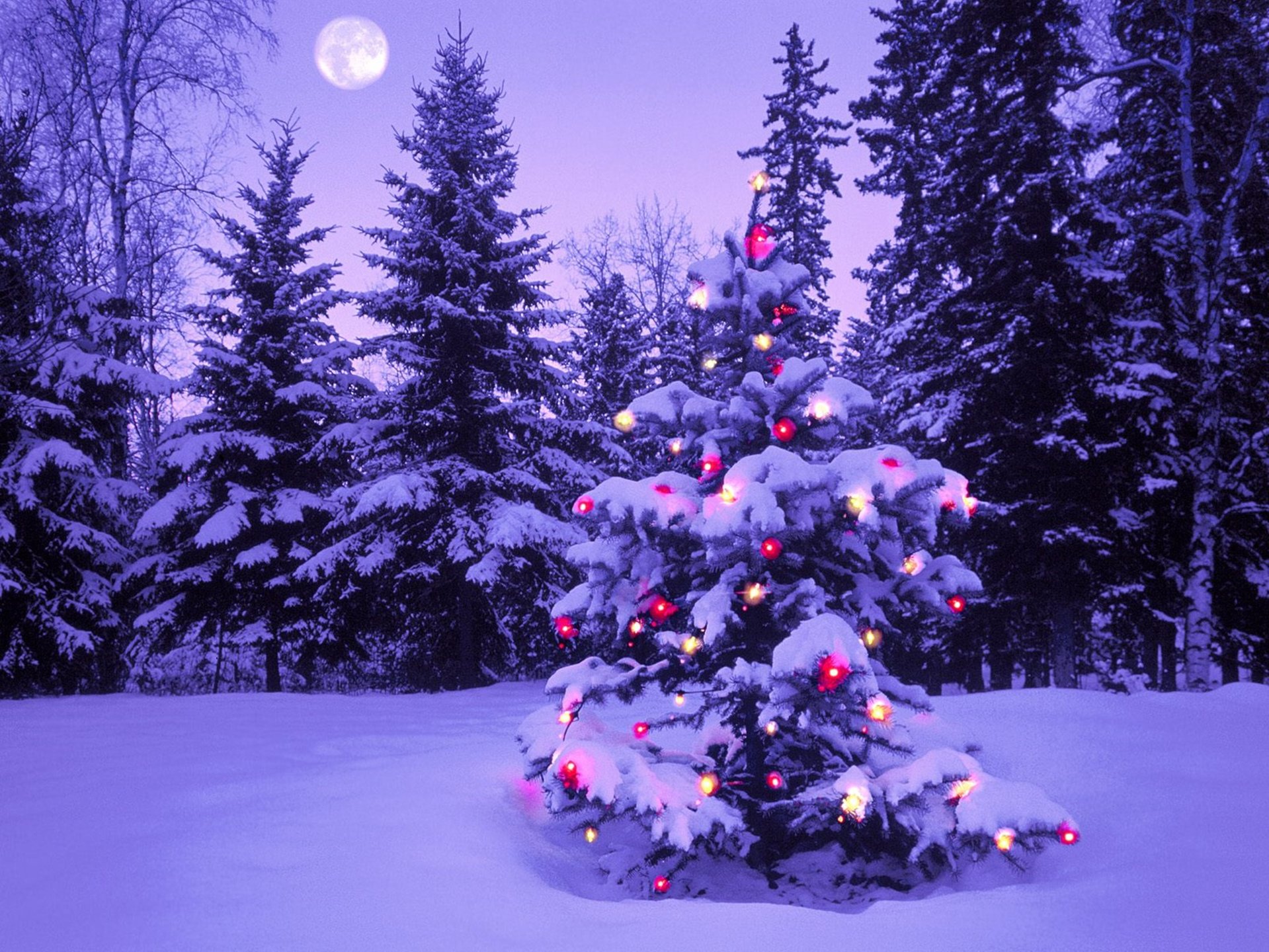 22-Christmas-wallpapers-free-chrsitmas-tree-out-in-the-snow-wallpaper.jpg