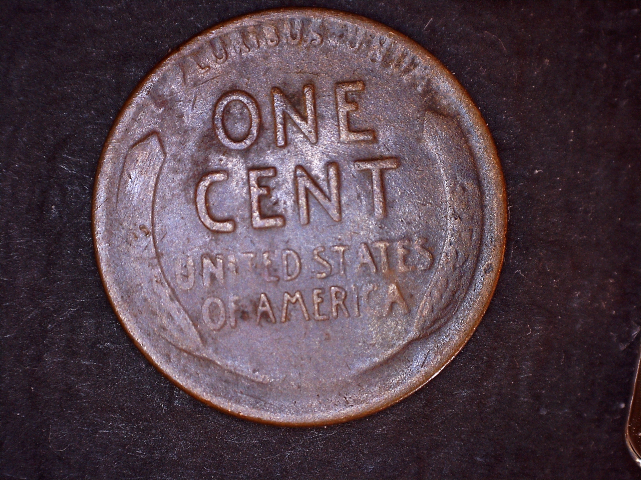 22 D r.jpg