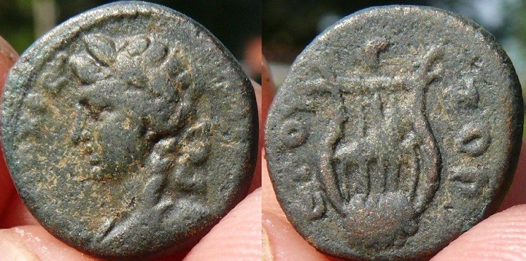 221 P Hadrian .BMC 114.jpg