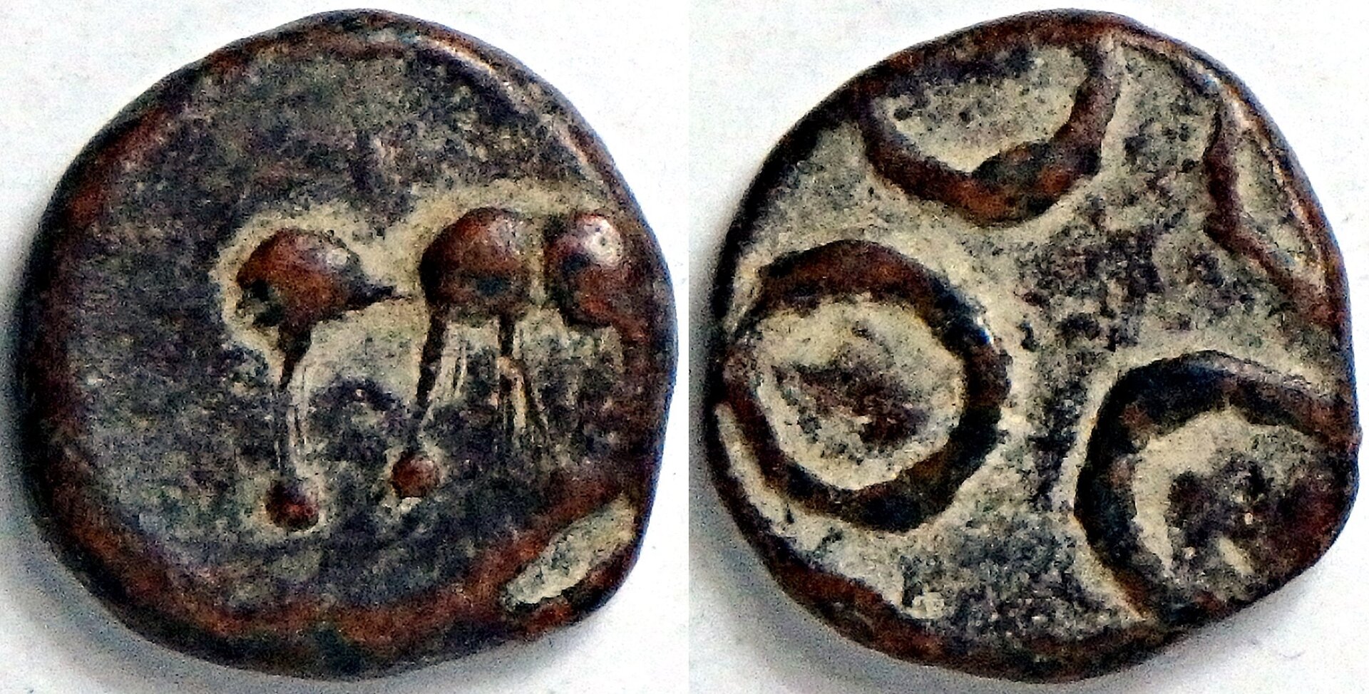 227-306 Ikshavakus of Deccan.jpg