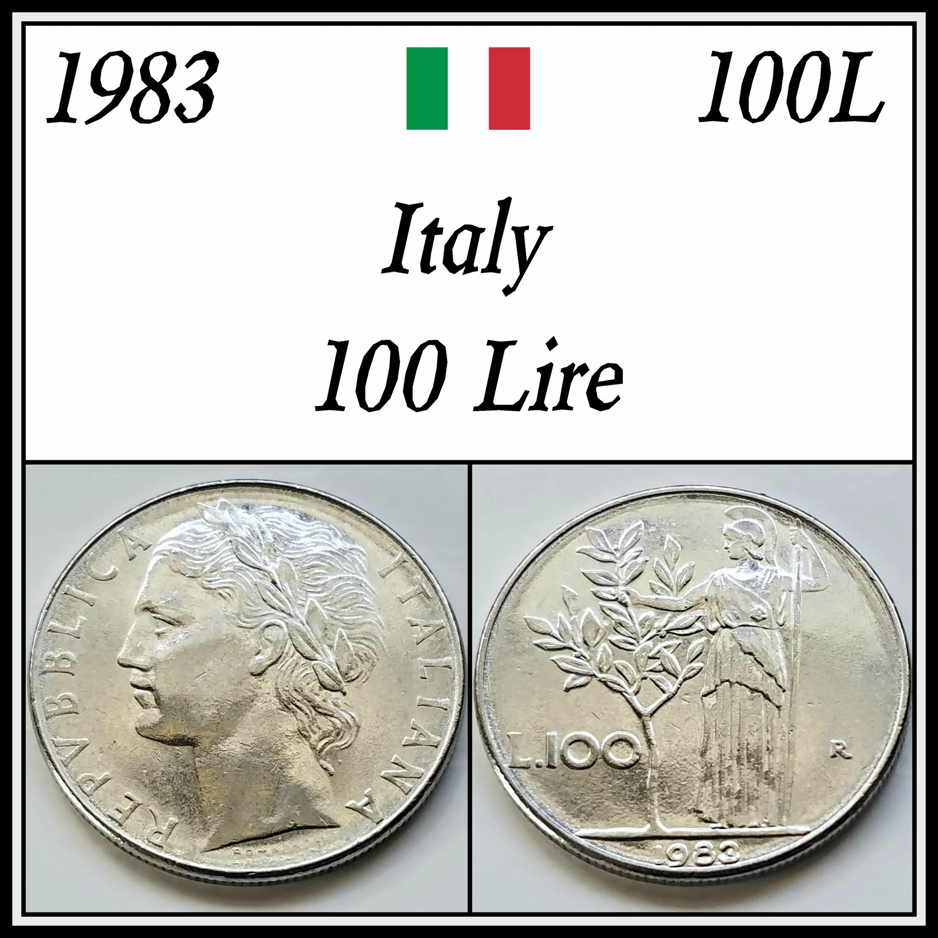 229.jpg