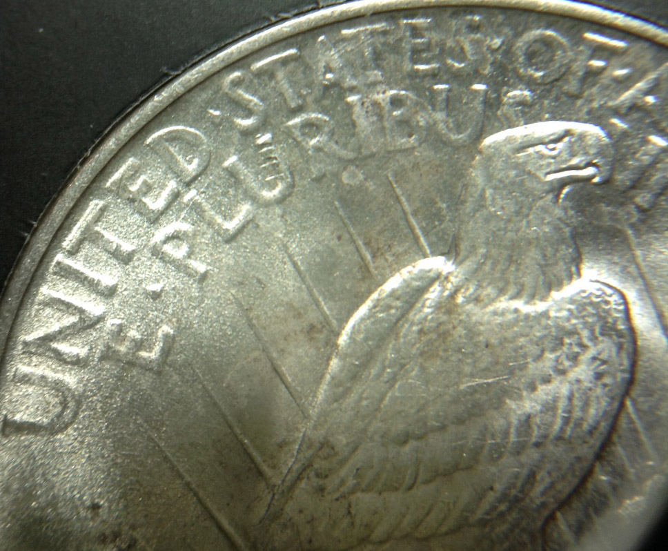 22PVAM1FrevPluribus.jpg