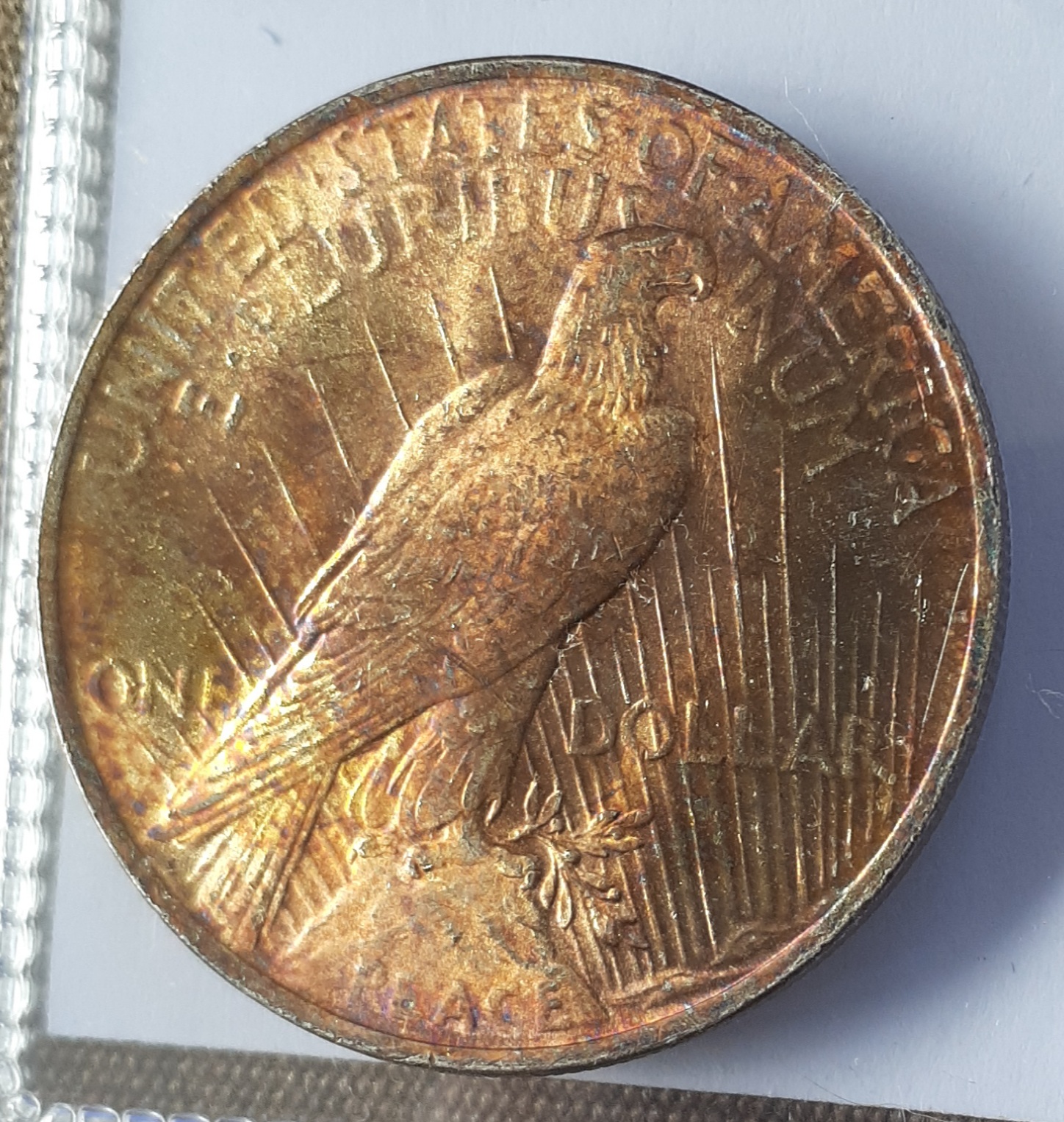 23 p r 1.jpg