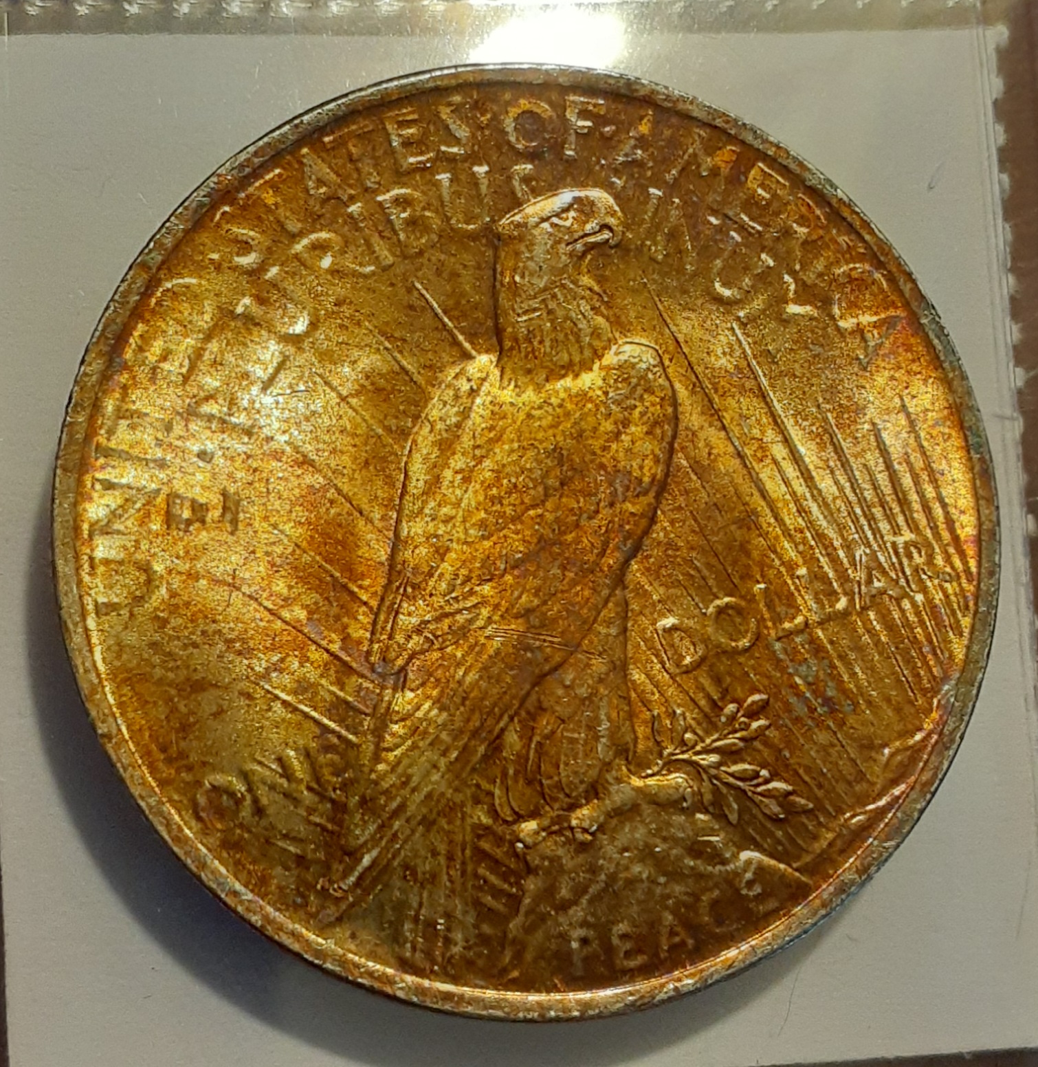 23 p r 2.jpg