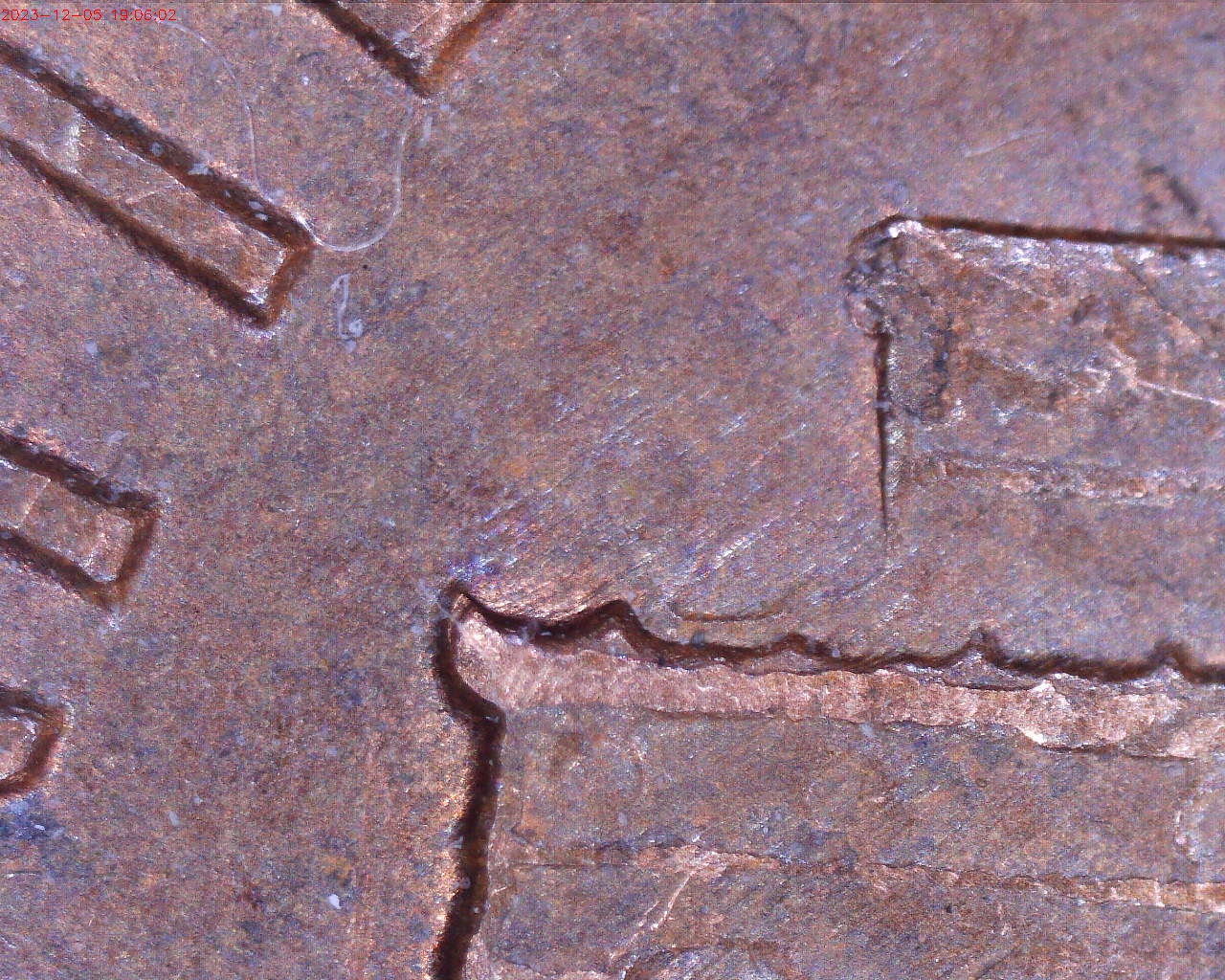 231205190603094.jpg