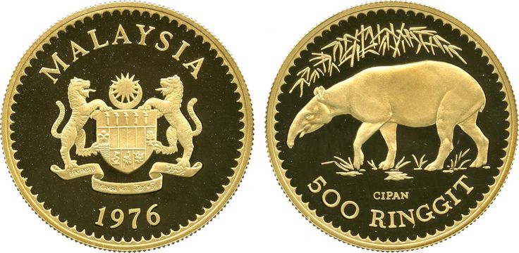 2319218e4e2c8f80c9d0d02e0656f453 (2).jpg