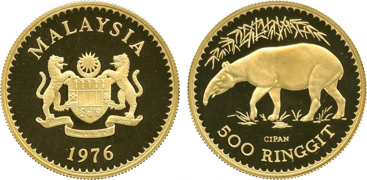 2319218e4e2c8f80c9d0d02e0656f453 (3).jpg