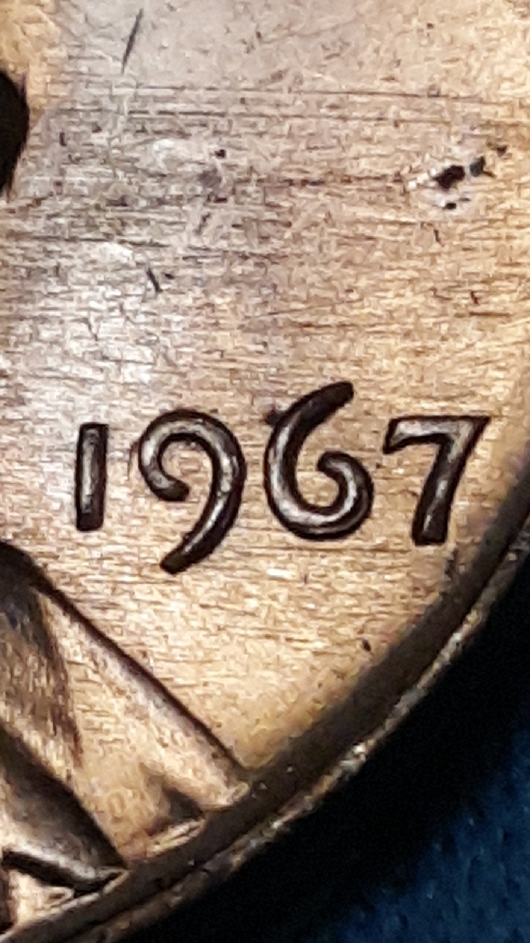 2341.jpeg